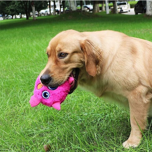 ??Monster DogActive Ball